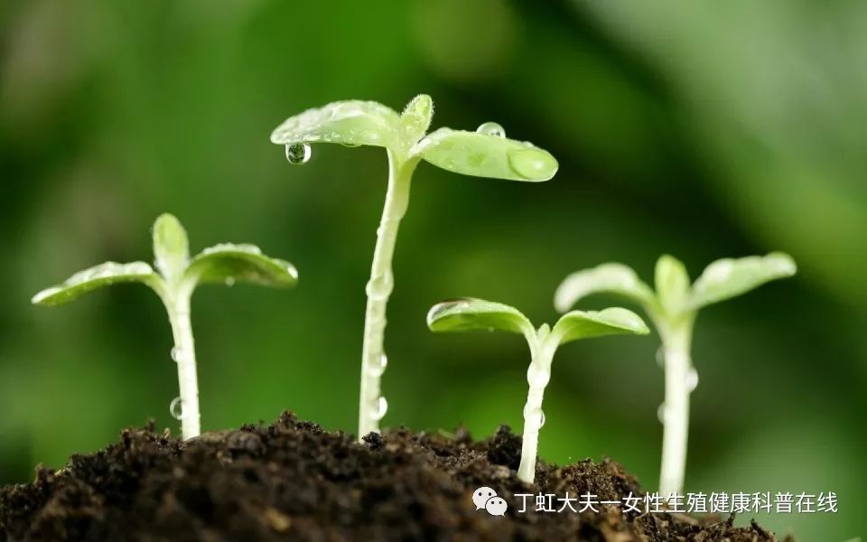 亚健康状态的起因包含_造成亚健康状况的主要原因有_导致亚健康状态的原因